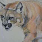 Mural mountain lion